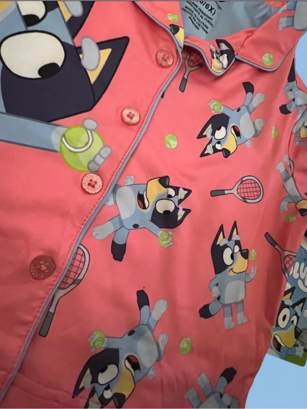 Bluey pajama 2 piece set shorts and shirt girls small 6